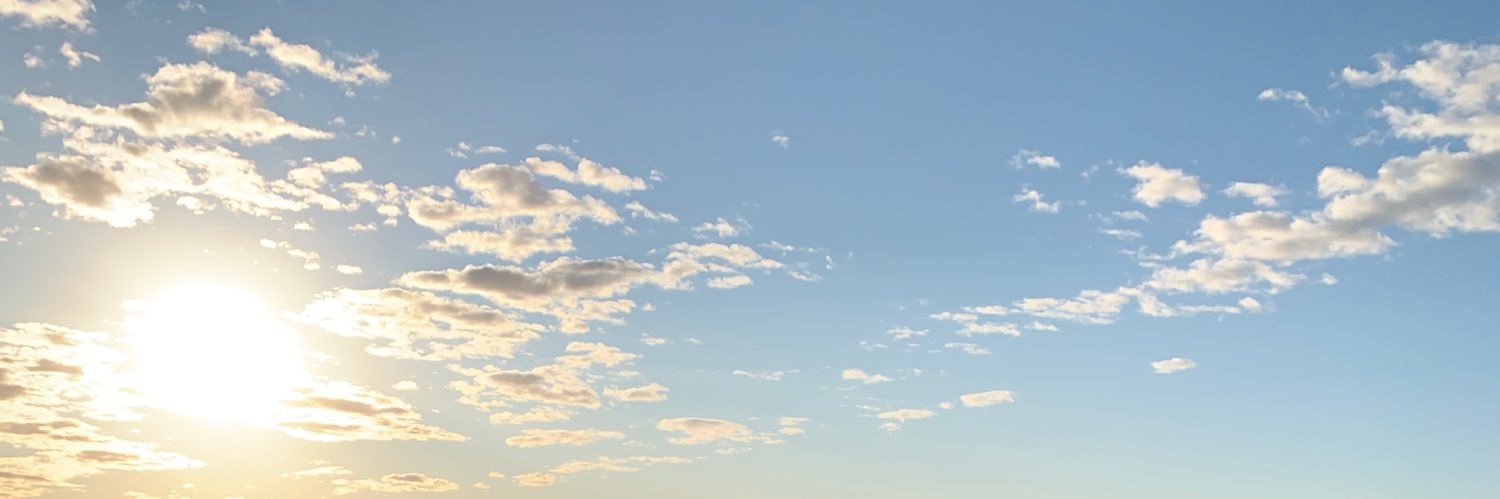 cee cee banner