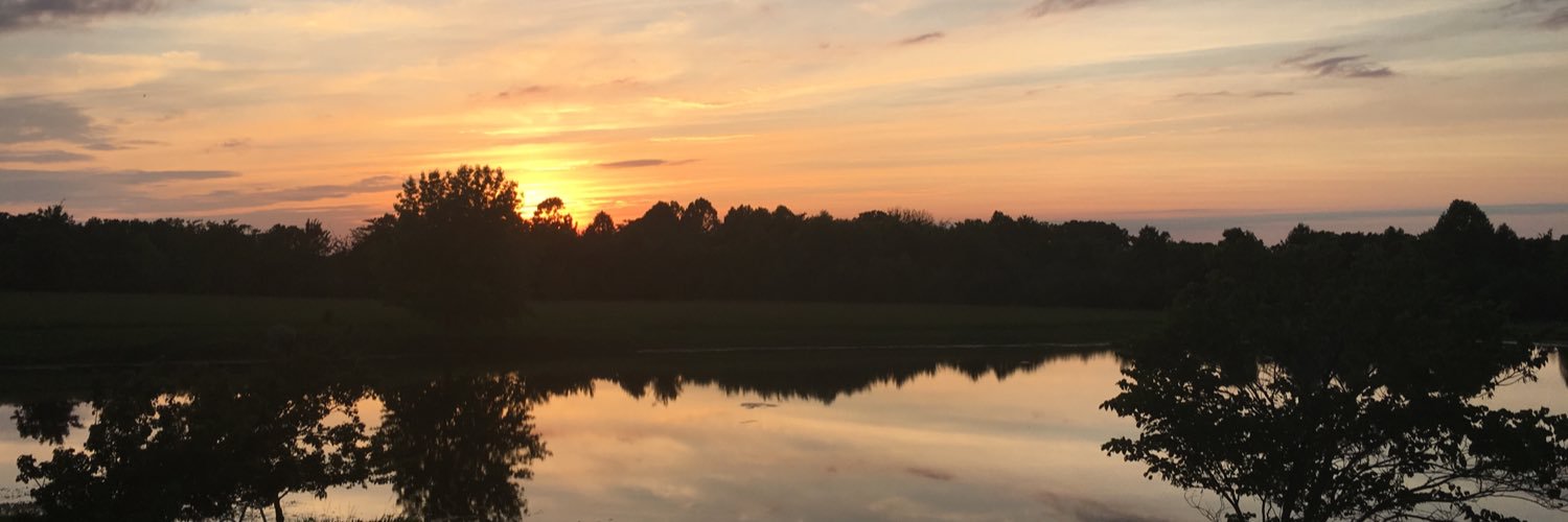 Gerzinal's profile banner image