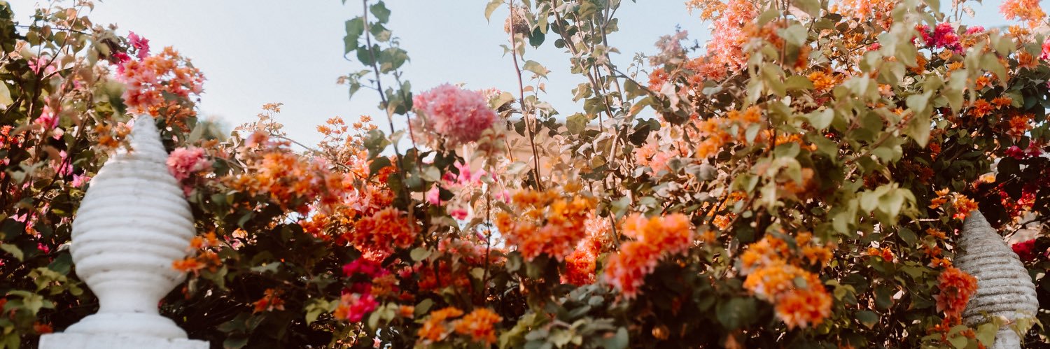marissriss's profile banner image