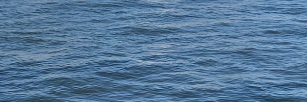 johnmatsui0609 Profile Banner