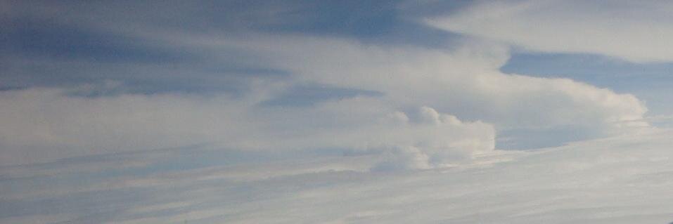 caecilmoerti's profile banner image