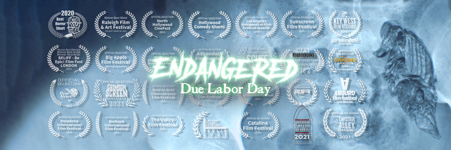 welldangpro's profile banner image