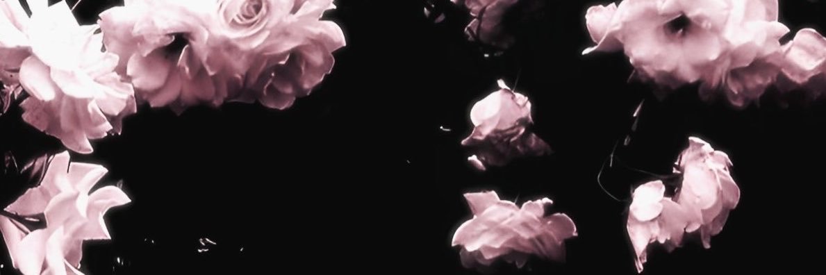 laravvq's profile banner image