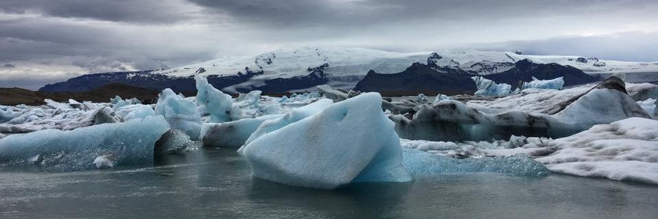 arcticHART's profile banner image