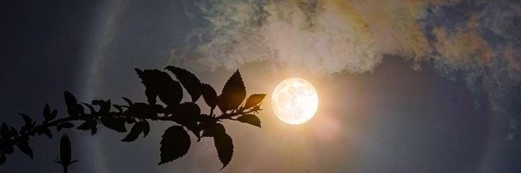 christineciacci's profile banner image