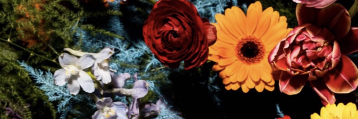 belovee_'s profile banner image