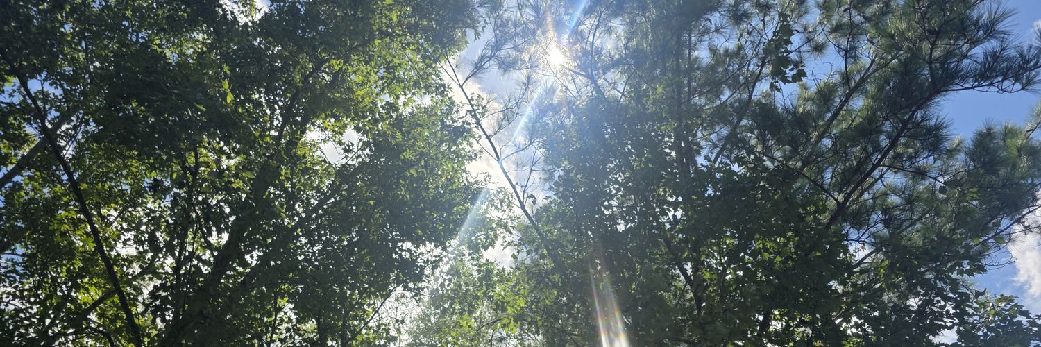 Sheisart83's profile banner image