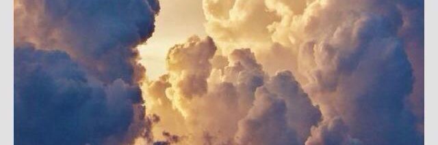 MellissaRiddle's profile banner image