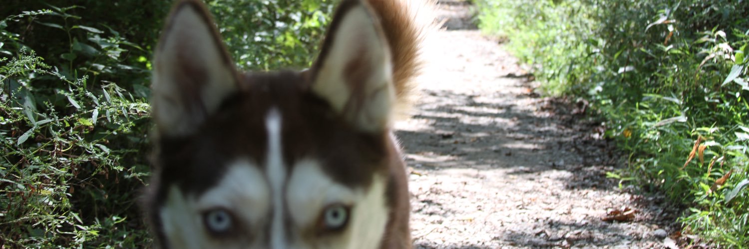 JRoss95_'s profile banner image