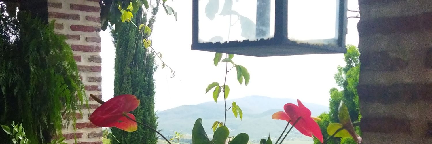 DaniPascalG's profile banner image