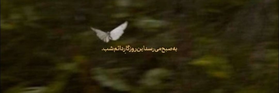 دختر‌حاجی banner