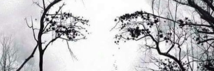 mizzkatzy's profile banner image