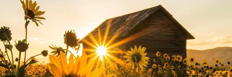 armi900's profile banner image