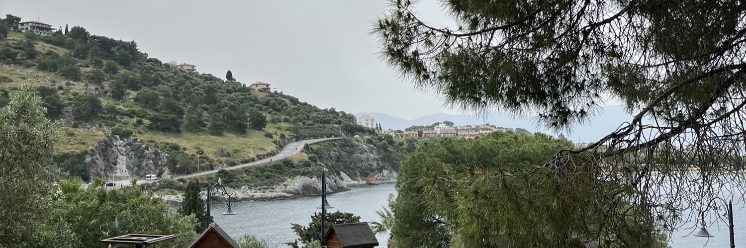 aynur banner