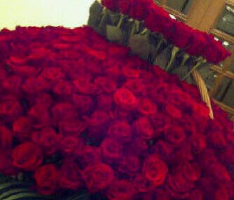 أمير الذوق banner