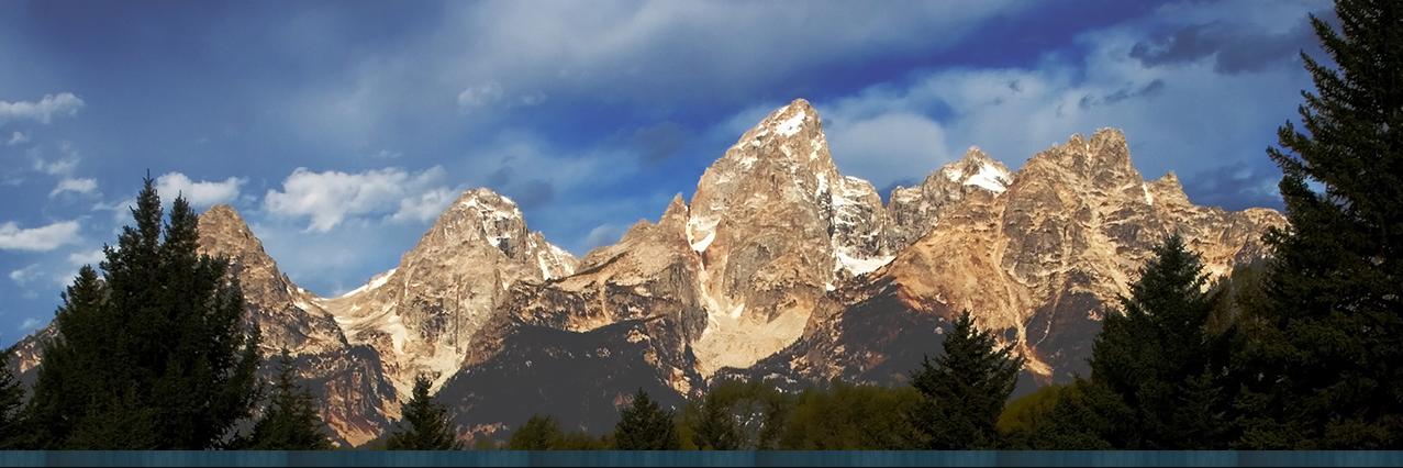 Christopher M Cannon banner