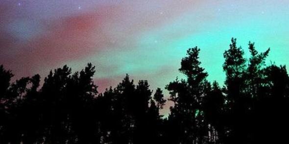 rissaroo_8's profile banner image