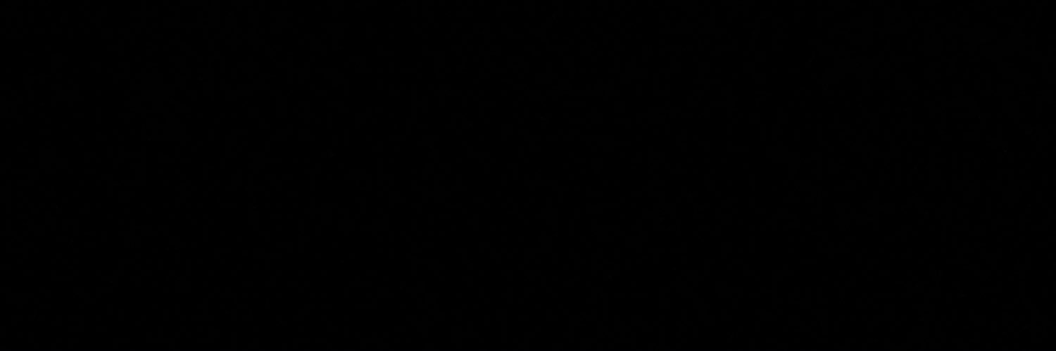 c_anselmini's profile banner image