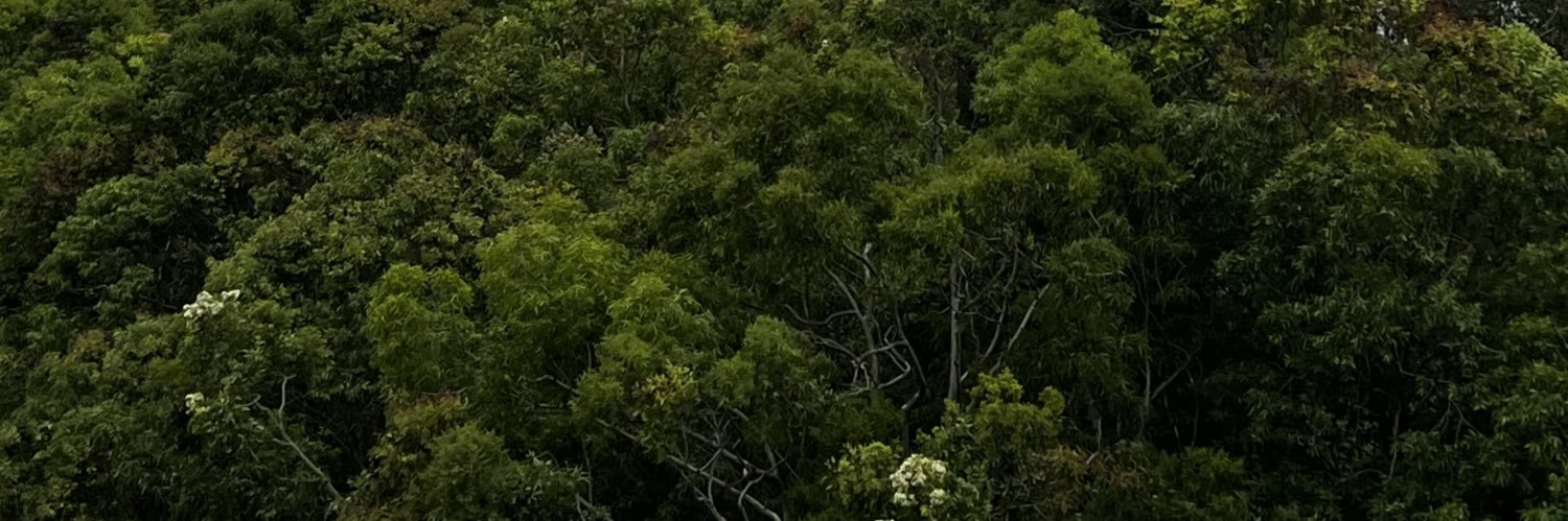 Julior22's profile banner image