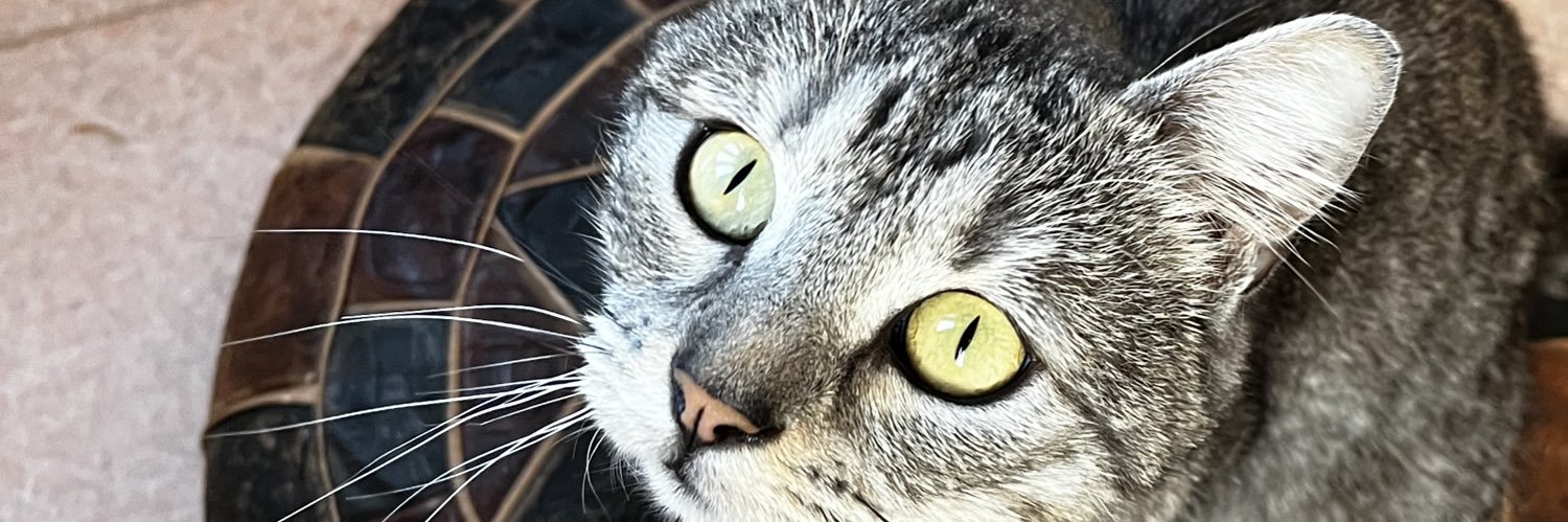 ozer4tu's profile banner image