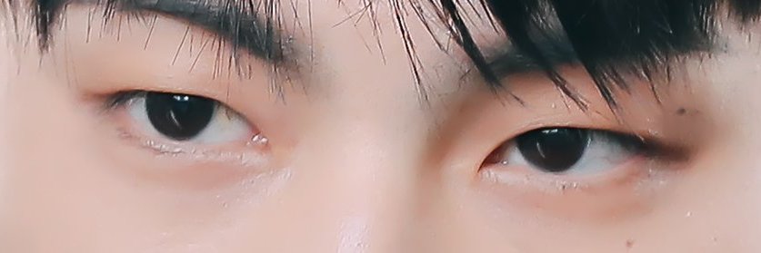 ถั่วงอกเป็นฆาตกร banner