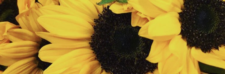 ohsoPRETTYLexxi's profile banner image