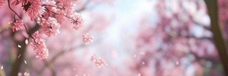 ชอบก็คือชอบ ~noot~ (สำรอง) banner