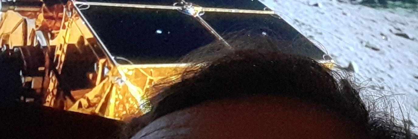 carlossanicbc's profile banner image