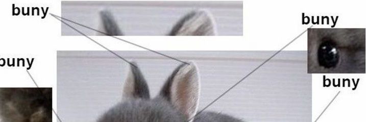 Laurel banner