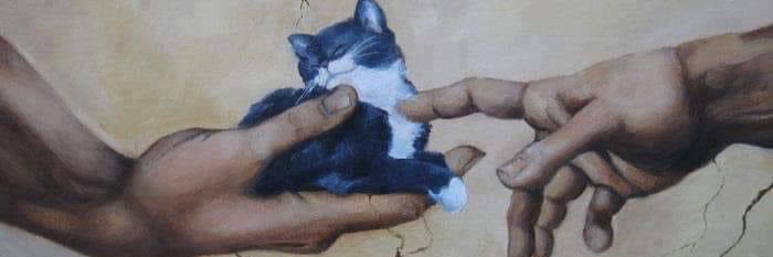 ohheyitstally's profile banner image