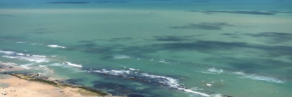 marceIagomes's profile banner image