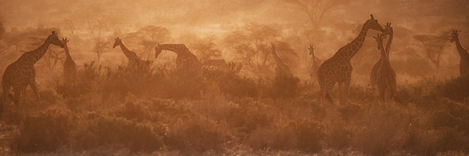 Terry Granger's banner