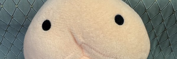 acetheinvader Profile Banner