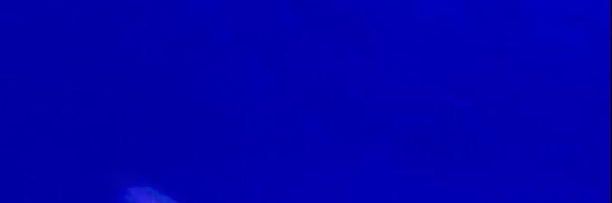 startinggover's profile banner image