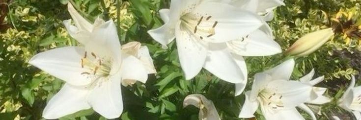 yun_dumb's profile banner image