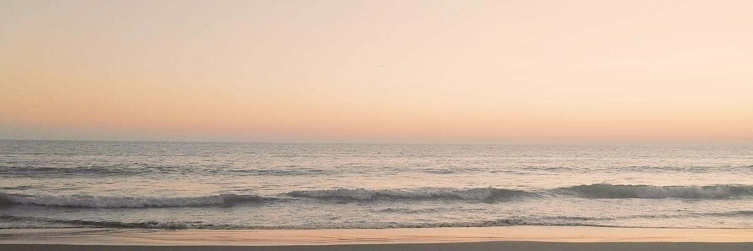 paulinazl's profile banner image