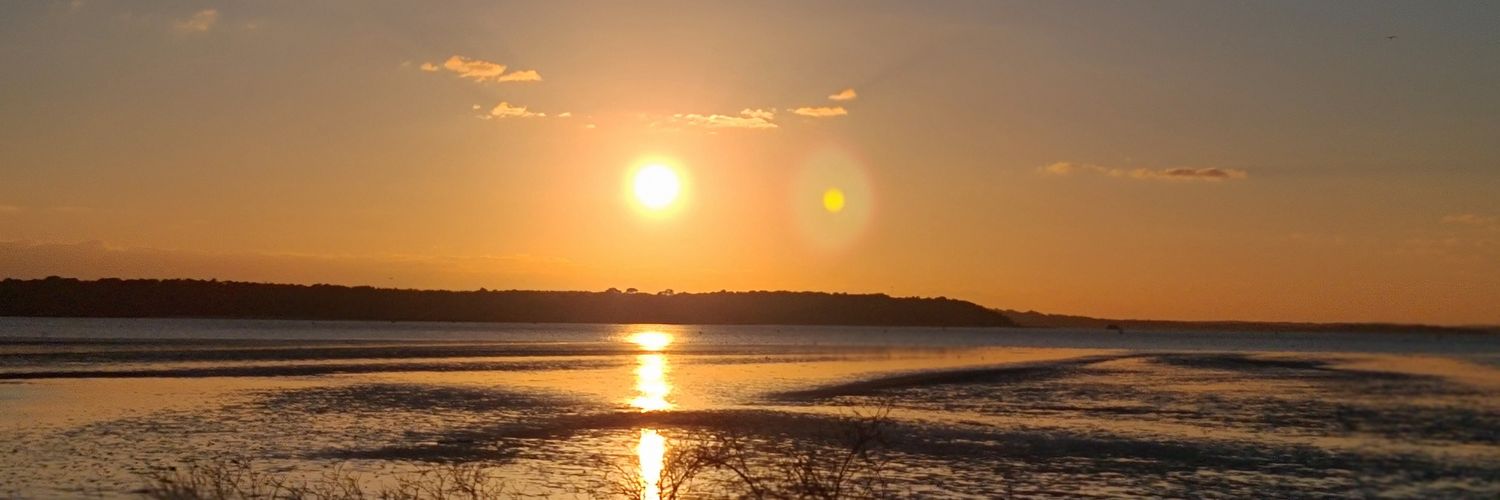 Titaniummum's profile banner image