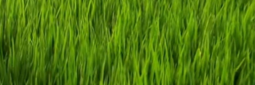 方面面面's banner
