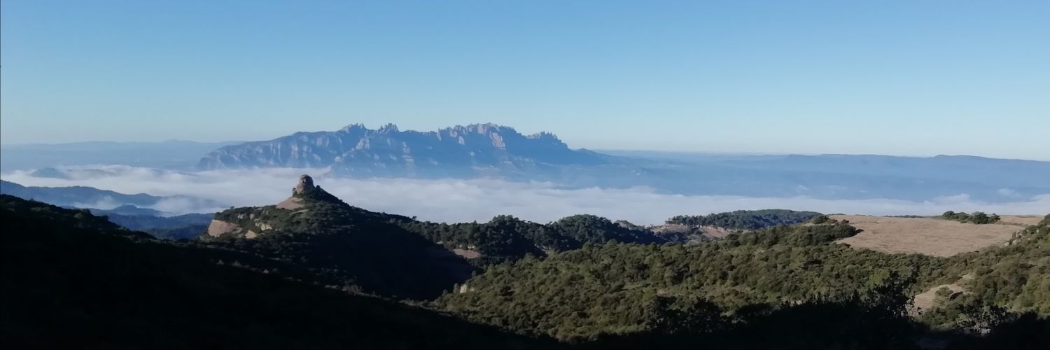 granetti's profile banner image