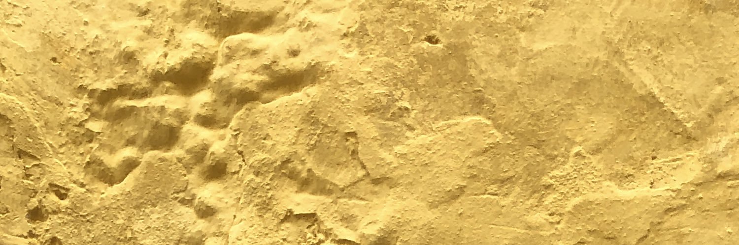 xavuse's profile banner image