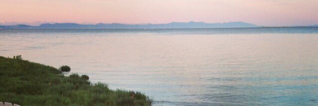 Katie Simmonds banner