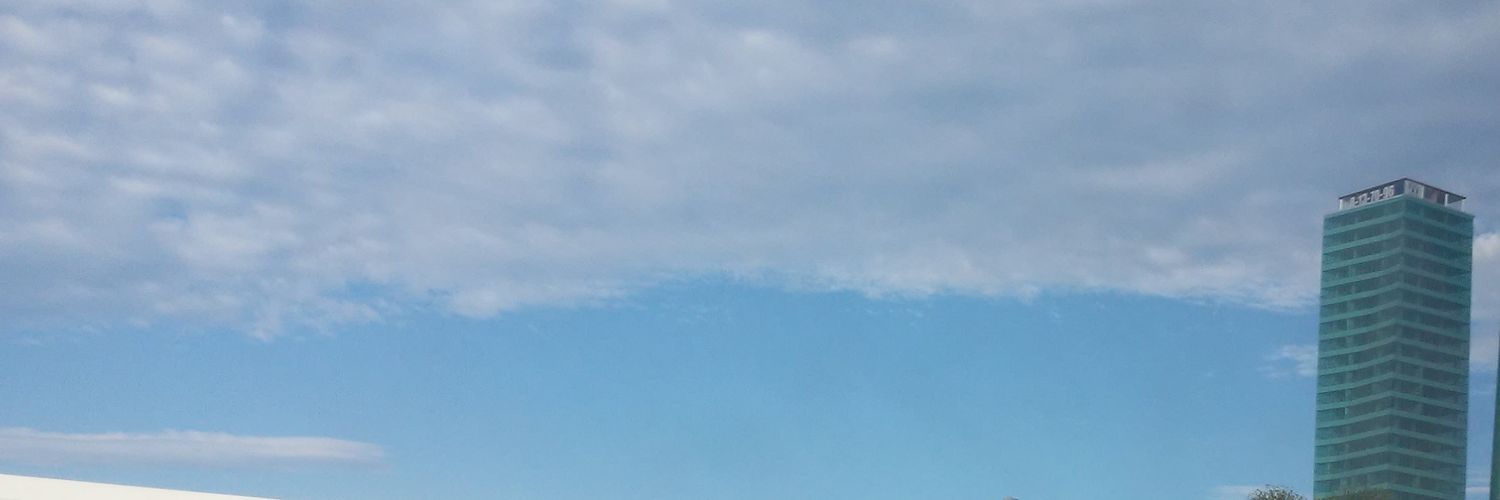 annydeei's profile banner image