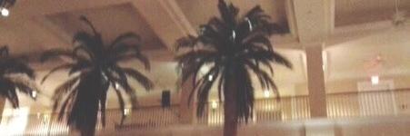 Malik_After's profile banner image