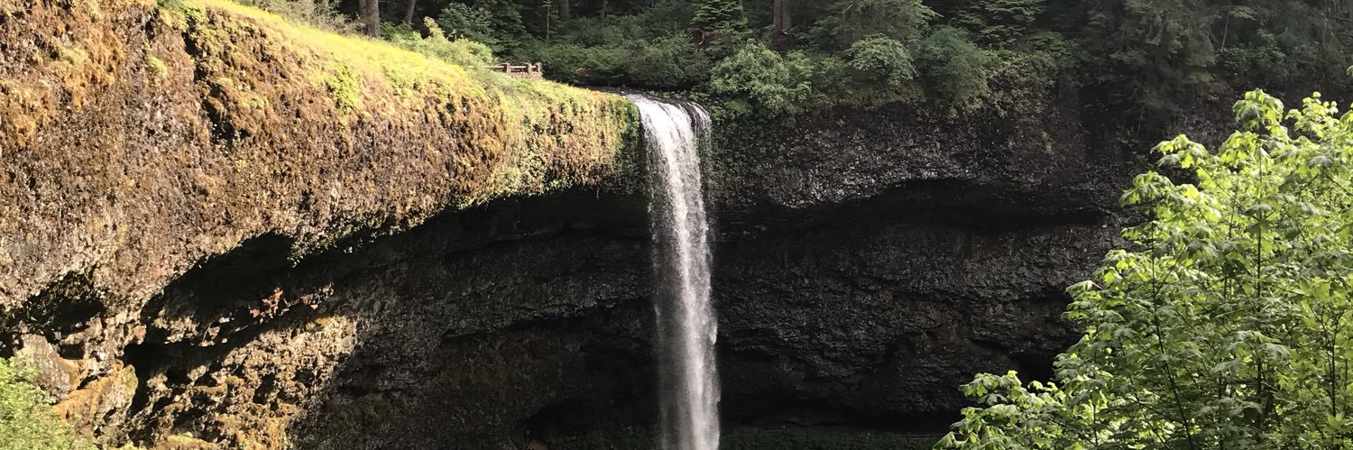 Steven “Zooming from home” Cook banner