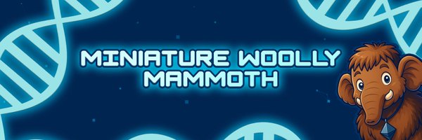 WoollyOnEth Profile Banner