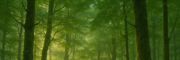 prof_ai_hack Profile Banner