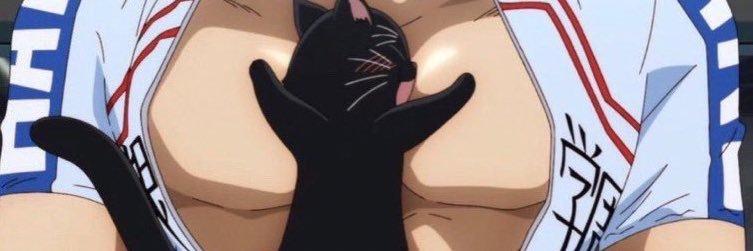 Sailor V banner