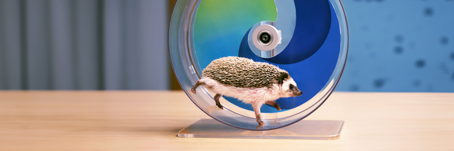 Microsoft Edge banner