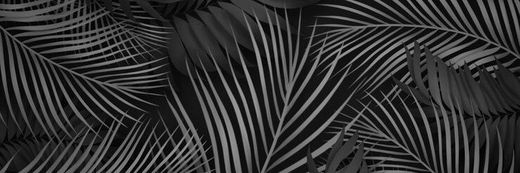 SkeletonKey🗝 banner