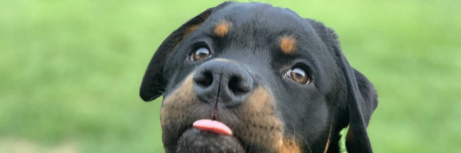 Sean Eldridge banner